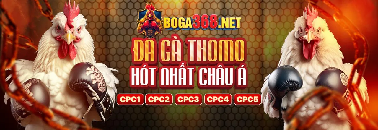 Nạp tiền vào okking