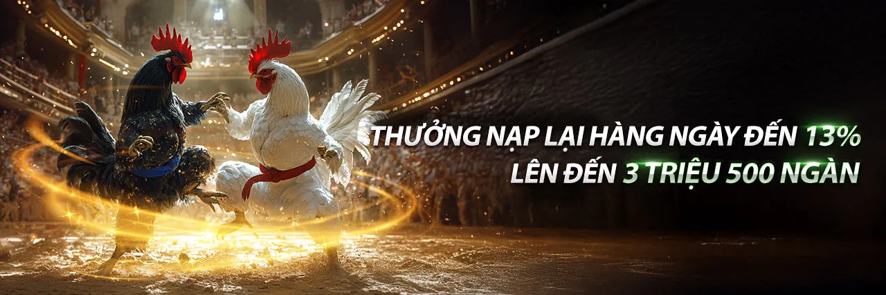 Hình ảnh đại diện okking - sứ mệnh và giá trị