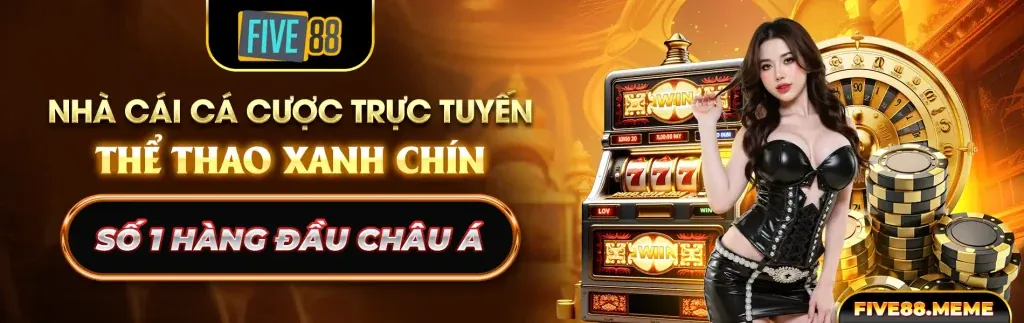 Rồng Hổ okking
