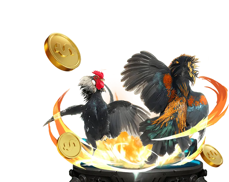 Phỏm Online okking