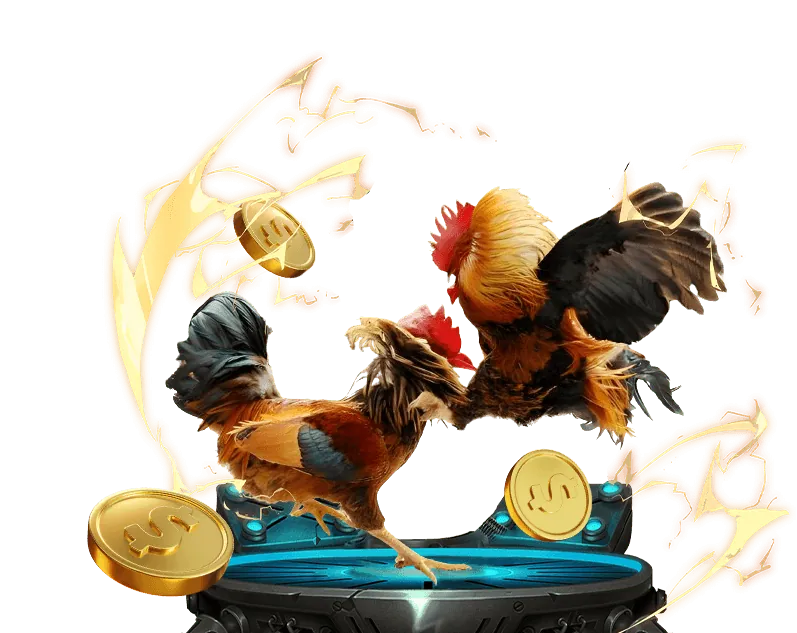 Sự kiện khuyến mãi đặc biệt